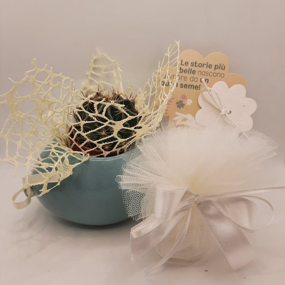 Wald Cache Pot Seminiamo Palloncino - immagine 3