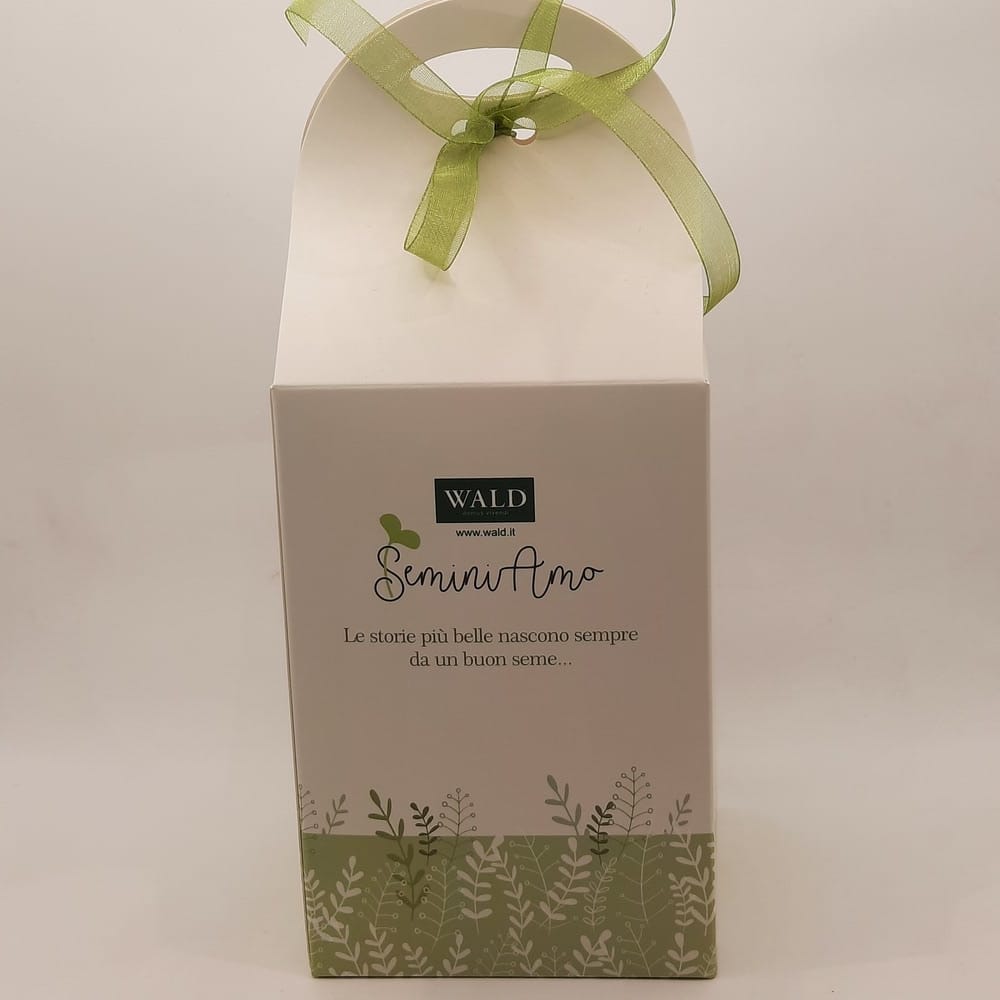 Wald Cache Pot Seminiamo Palloncino - immagine 7