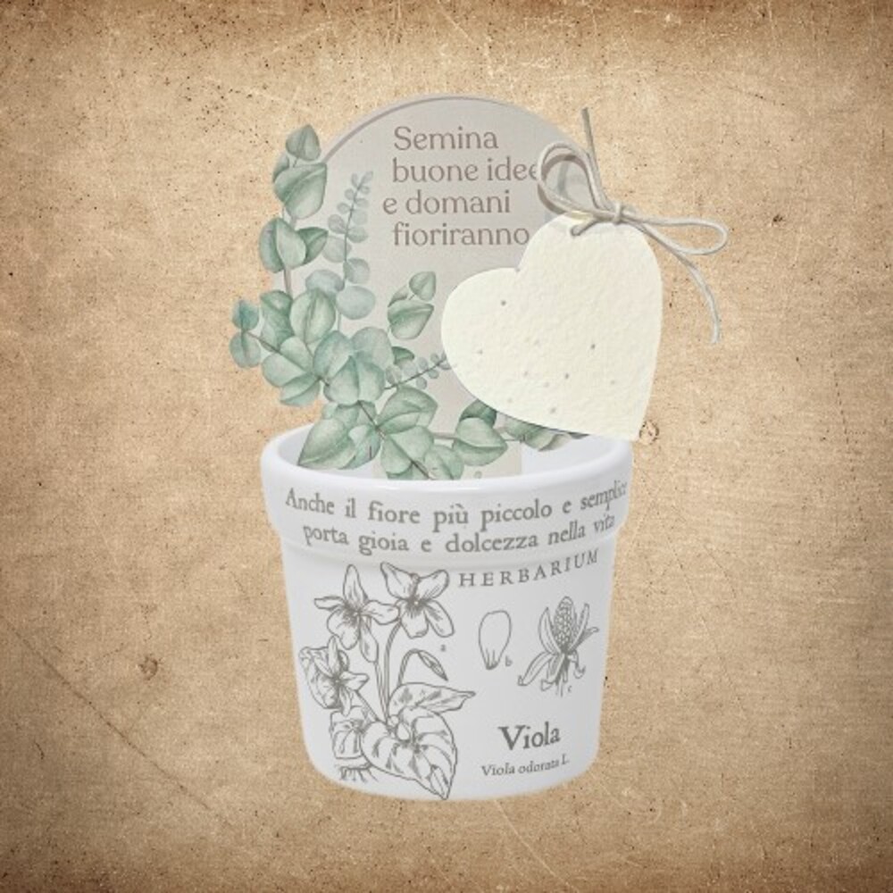 Cache Pot Viola 2