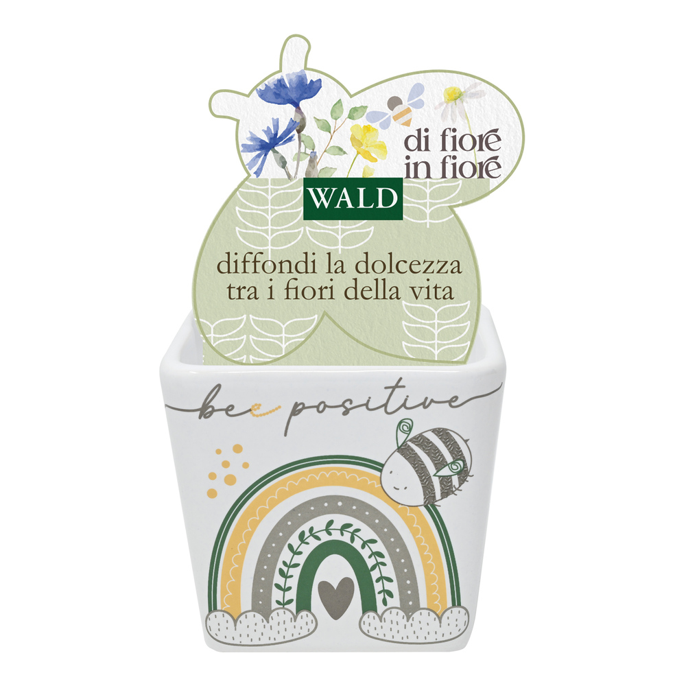 Wald Cache Pot Bee Positive
